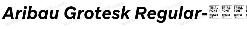 Aribau Grotesk Regular字体转换